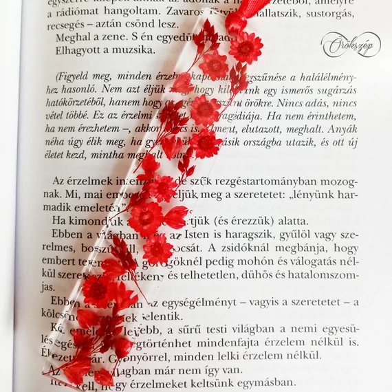Könyvmoly Mikuláspiros ajándékcsomag